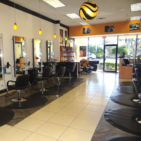 The Walk Of Coral Springs - Hair Color Concepts
