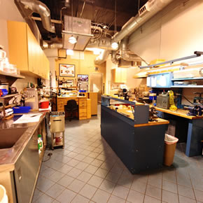 The Walk Of Coral Springs - Sziro Jewelers